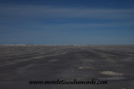 Uyuni (63).JPG
