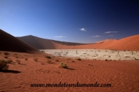 Désert de Namib (115).JPG