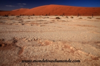 Désert de Namib (118).JPG