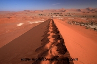 Désert de Namib (130).JPG