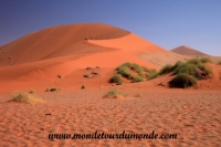 Désert de Namib (140).JPG