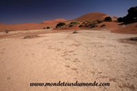 Désert de Namib (143).JPG
