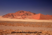 Désert de Namib (153).JPG