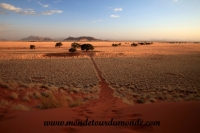 Désert de Namib (174).JPG