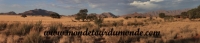 Désert de Namib (59).jpg