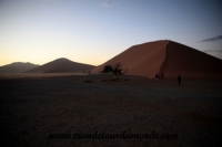 Désert de Namib (65).JPG