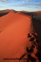 Désert de Namib (85).JPG