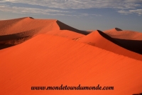 Désert de Namib (92).JPG