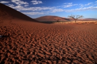 Désert de Namib (102).JPG