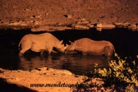 Etosha (147).JPG