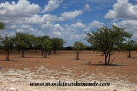 Etosha (42).JPG