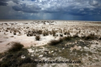 Etosha (67).JPG