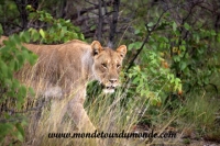 Etosha (79).JPG