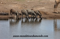 Etosha (259).JPG