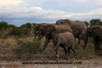 Etosha (276).JPG
