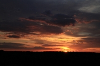 Etosha (294).JPG
