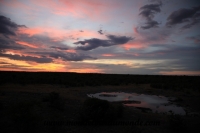 Etosha (309).JPG