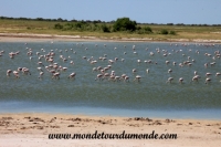 Etosha (329).JPG