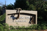 Chobe (10).JPG
