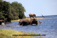 Chobe (121).JPG