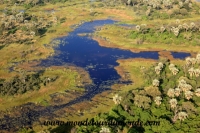 Okavango (13).JPG
