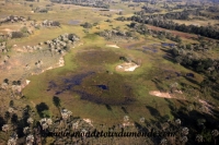 Okavango (22).JPG