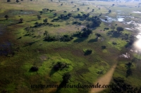 Okavango (28).JPG