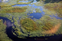 Okavango (31).JPG