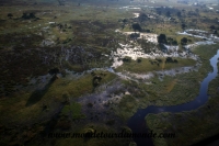 Okavango (37).JPG