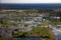 Okavango (39).JPG
