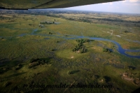 Okavango (43).JPG