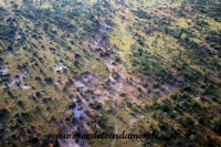 Okavango (45).JPG