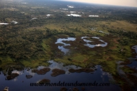 Okavango (51).JPG