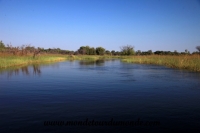 Okavango (65).JPG