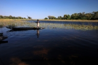 Okavango (73).JPG