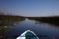 Okavango (75).JPG