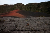 Piton de la fournaise (15).JPG