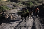 Los Frailes (27).JPG