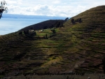 Lac Titicaca (99).JPG