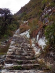 Machu Picchu (54).JPG